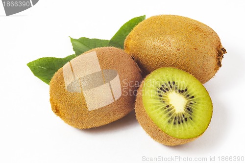 Image of fresh kiwi