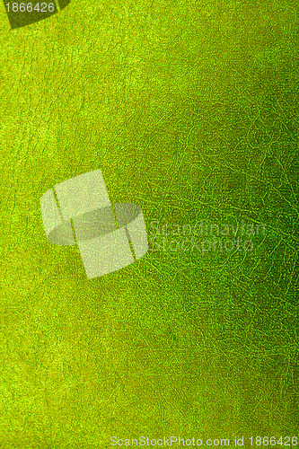Image of skin texture
