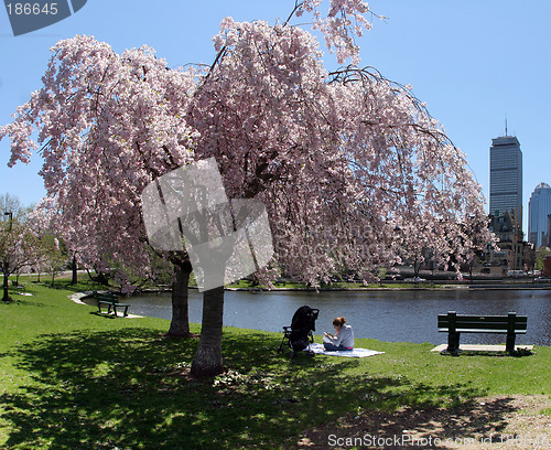 Image of Spring in a city