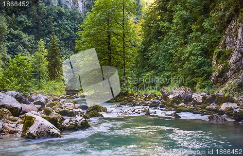 Image of mountain stream