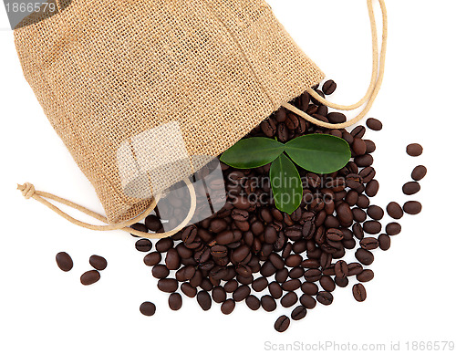 Image of Coffee Beans