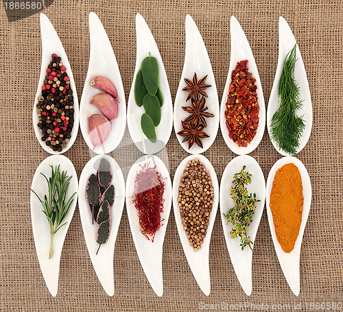 Image of Herb and Spice Selection