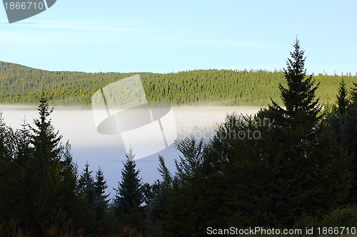 Image of mist over the valley