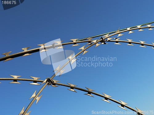 Image of Razor Wire