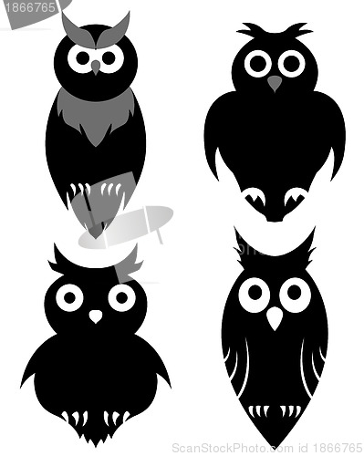 Image of owl set