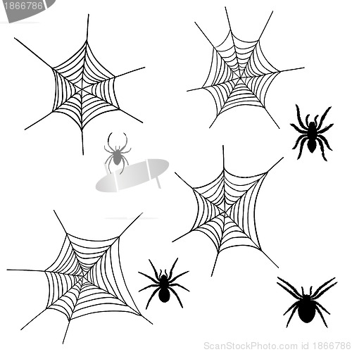 Image of spider net set