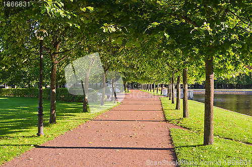 Image of alley in the Park the morning sunshine 