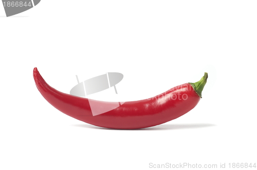 Image of Red chili pepper