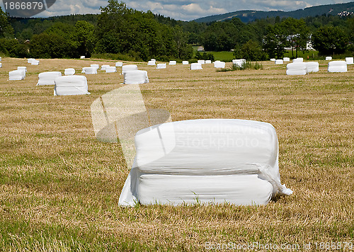 Image of Balls of hay, wrapped in plastic