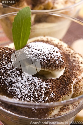 Image of Tiramisu Dessert 