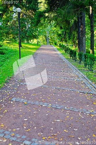 Image of alley in the Park the morning sunshine 