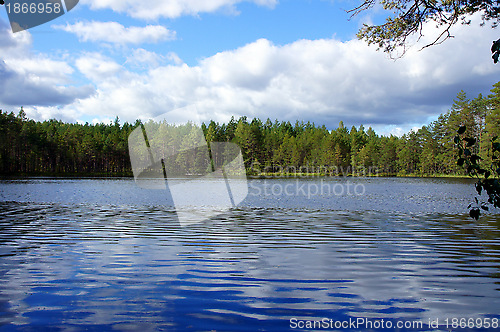 Image of Landscape 