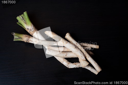 Image of horseradish