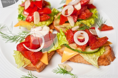 Image of Toast with vegetables