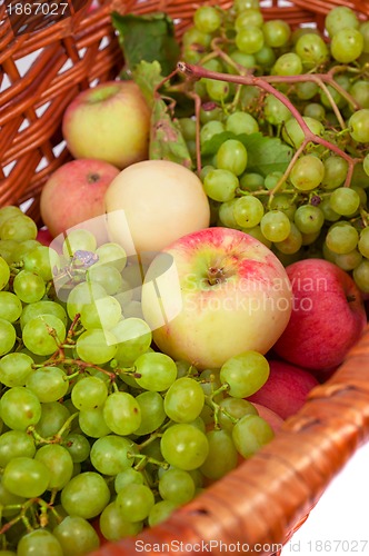 Image of apples and grapes