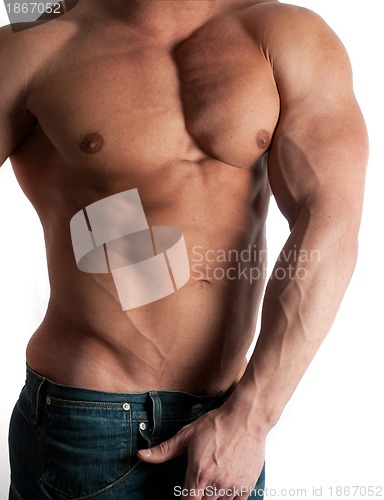 Image of bodybuilder