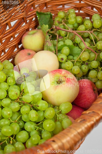 Image of apples and grapes
