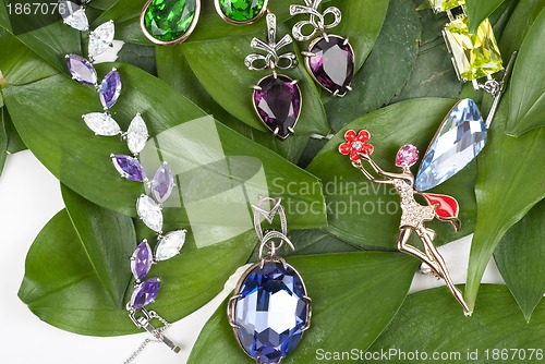 Image of Jewelry at green leaves