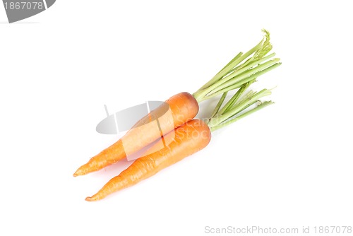 Image of Carrots