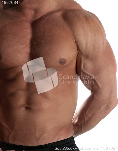 Image of bodybuilder