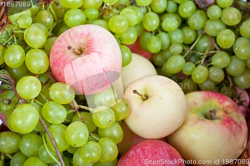 Image of apples and grapes
