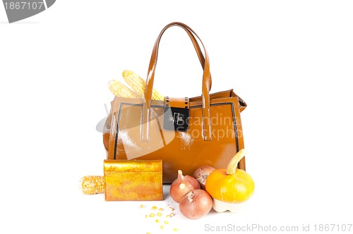 Image of woman bag