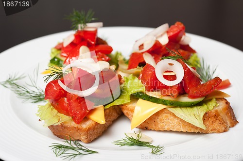 Image of Toast with vegetables