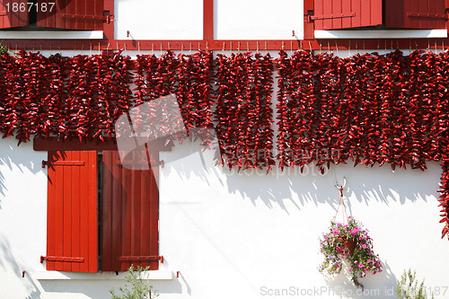 Image of drying peppers bunches