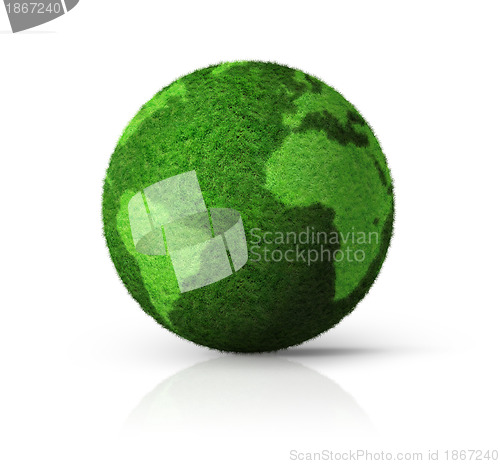 Image of 3D green grass globe