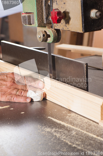 Image of Carpenter fingers