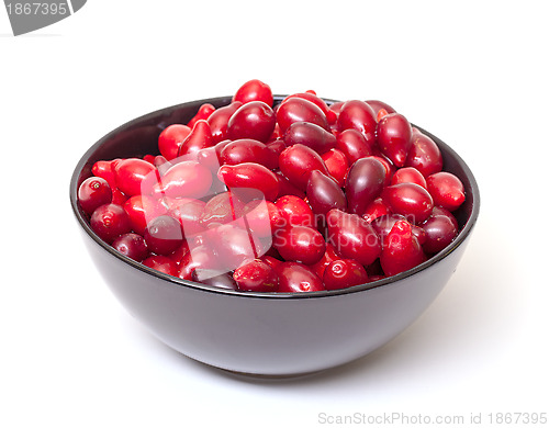 Image of Dogberry in Bowl