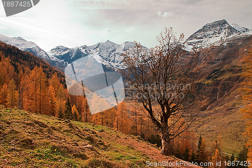 Image of Autumn in Austria