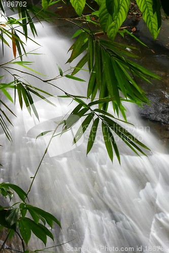 Image of Waterfall