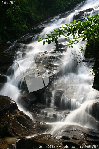 Image of Waterfall