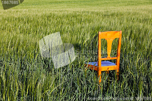 Image of Corn field