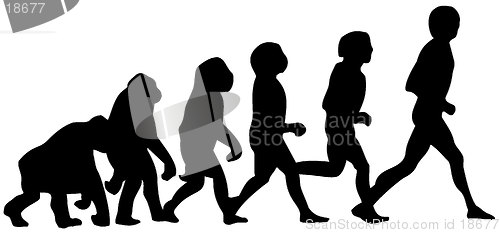 Image of human evolution