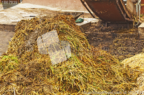 Image of dung heap with crane