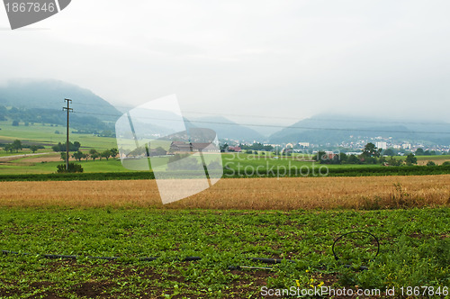 Image of hills in morning fog