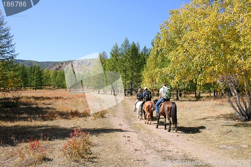 Image of People riding horses