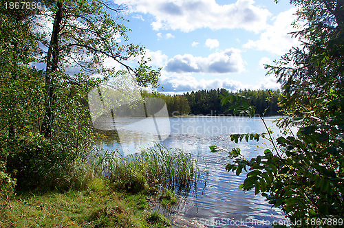 Image of Landscape