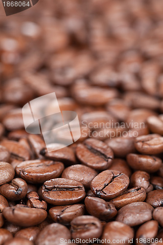 Image of Coffee beans with copy space