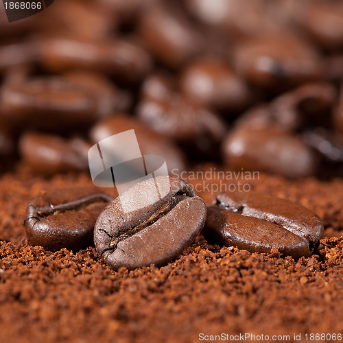 Image of Macro shot of coffee beans