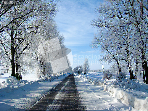 Image of Winter landscape in a forest