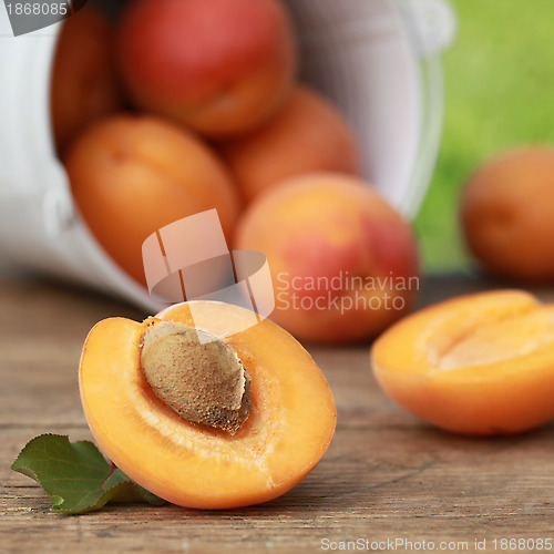 Image of Apricots