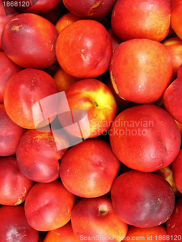 Image of a lot of red nectarines