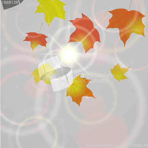 Image of Autumn background with flying leaves
