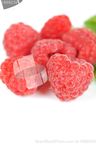 Image of fresh raspberry