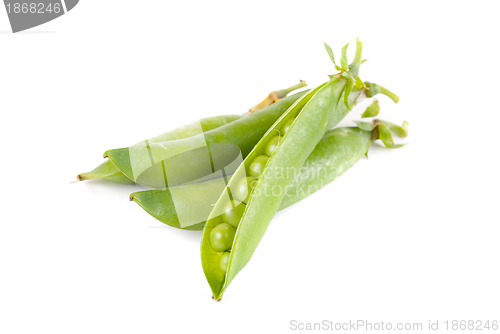 Image of Ripe pea