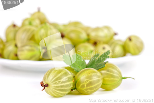 Image of gooseberries