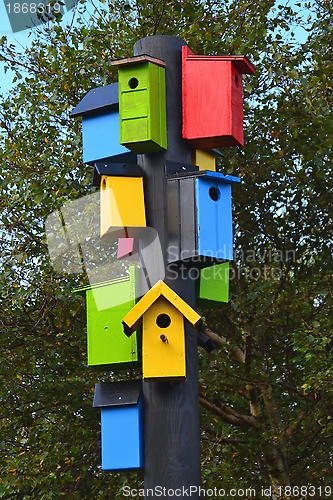 Image of bird nests